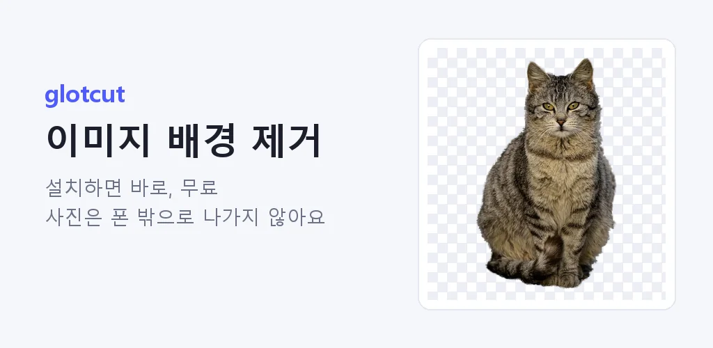 글롯컷 안드로이드 앱